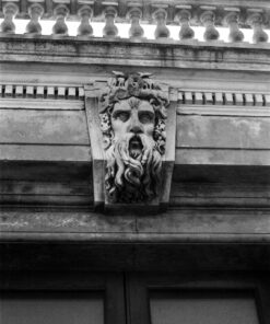 Fomapan 200 Creative in FX55