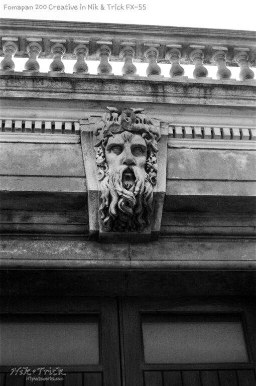 Fomapan 200 Creative in FX55