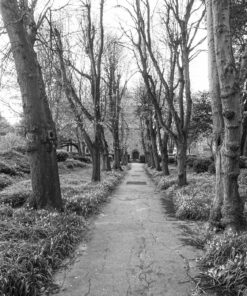 Ilford FP4+ in Nik & Trick FX-55