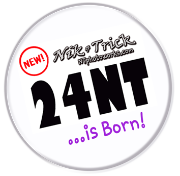 24NT B&W Film Developer