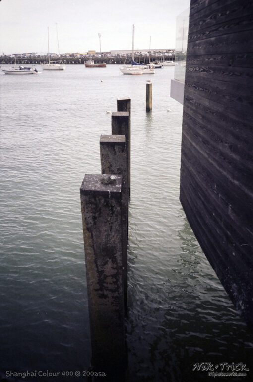 Shanghai Colour Negative 400 rated 200asa