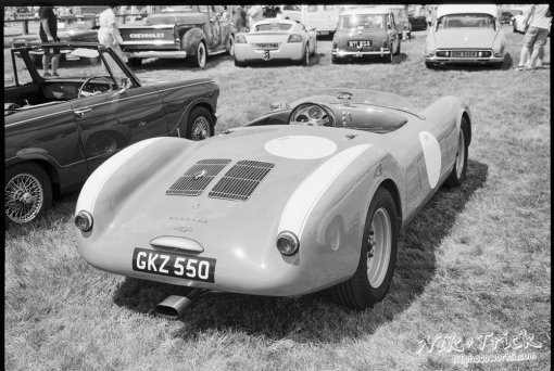 120 Cinestill (Kodak) Double-X B&W Film in BelliniFoto Euro-HC