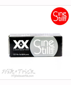 Cinestill (Kodak Double-X) Black & White Film in 120