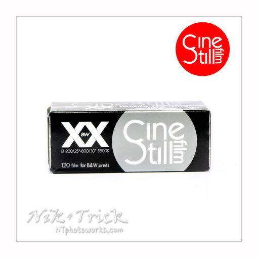 Cinestill (Kodak Double-X) Black & White Film in 120