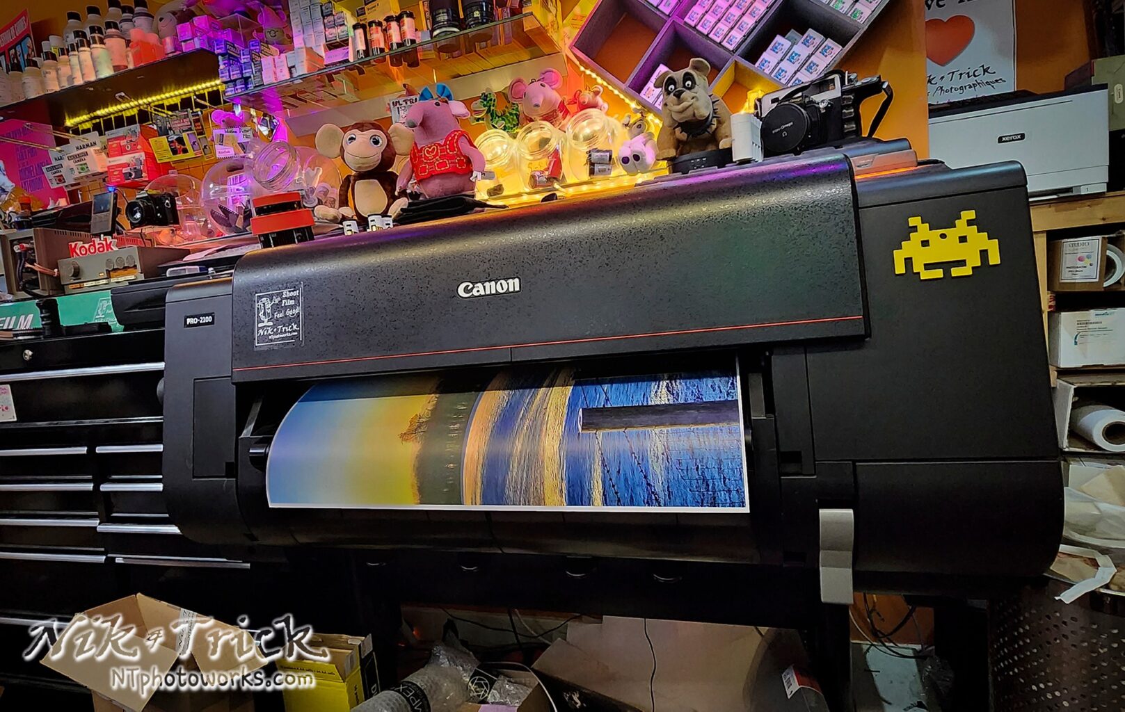 Photo Printing in Folkestone by Nik & Trick