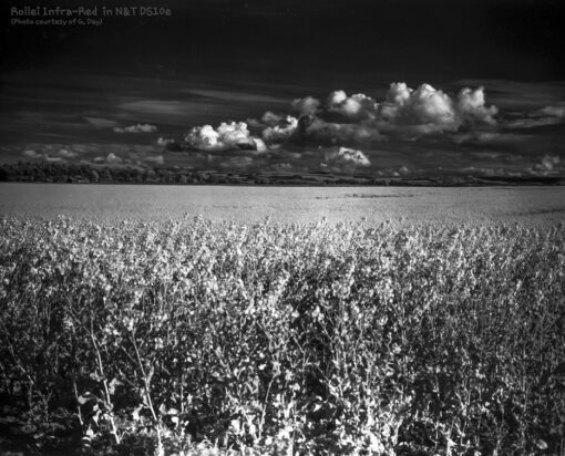 DS10e Eco B&W Film Developer by Nik & Trick