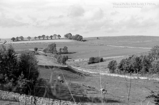DS10e Eco B&W Film Developer by Nik & Trick