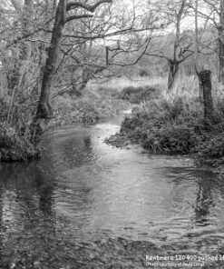 Kentmere 400 in DS10e Eco B&W Film Developer by Nik & Trick