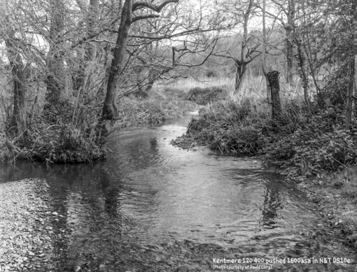 Kentmere 400 in DS10e Eco B&W Film Developer by Nik & Trick