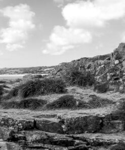 Kentmere 100 in DS10e Eco B&W Film Developer by Nik & Trick