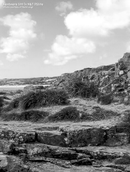 Kentmere 100 in DS10e Eco B&W Film Developer by Nik & Trick