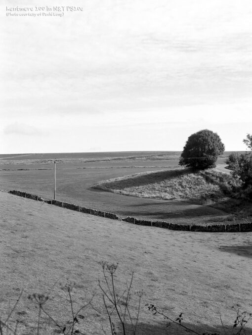 Kentmere 100 in DS10e Eco B&W Film Developer by Nik & Trick