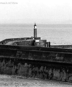 Shanghai GP3 100 @400asa DS10e Eco B&W Film Developer by Nik & Trick