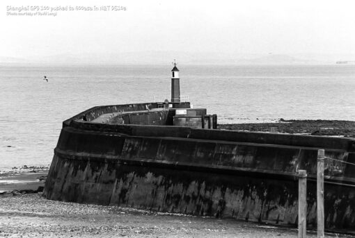 Shanghai GP3 100 @400asa DS10e Eco B&W Film Developer by Nik & Trick