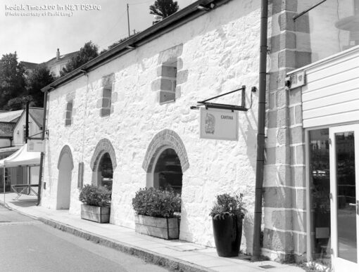 Kodak Tmax100 in DS10e Eco B&W Film Developer by Nik & Trick