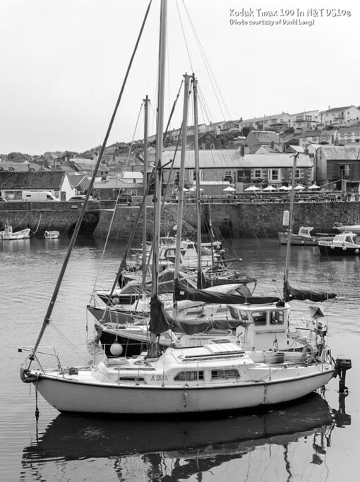 Kodak Tmax100 in DS10e Eco B&W Film Developer by Nik & Trick