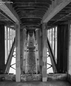 Kodak Tnax400 in DS10e Eco B&W Film Developer by Nik & Trick