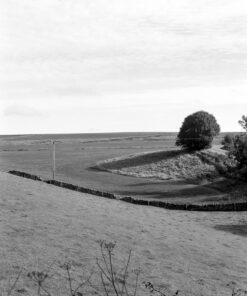 Kentmere 100 in DS10e Eco B&W Film Developer by Nik & Trick