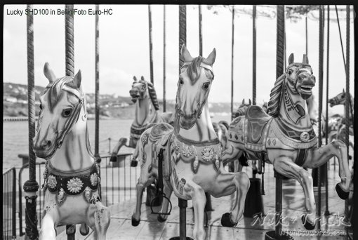 Lucky SHD100 in BelliniFoto Euro-HC