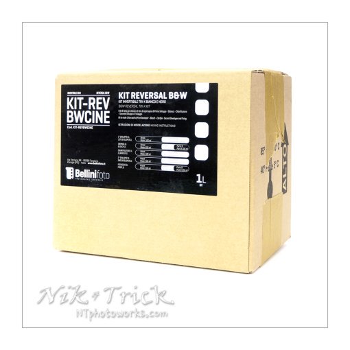Bellinifoto BW Reversal-Cine