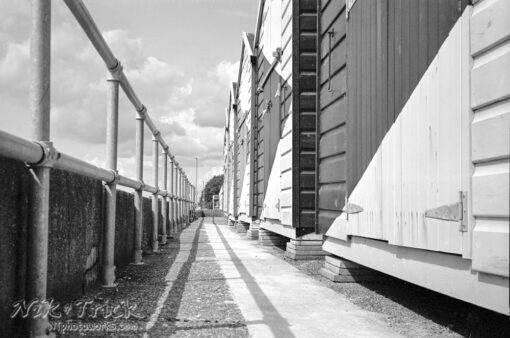 Ilford XP3 Super via Nikon S4 Rangefinder