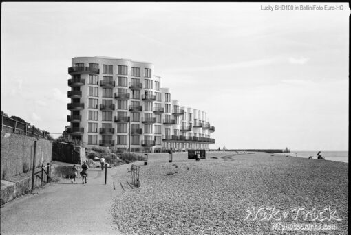 Lucky SHD100 in BelliniFoto Euro-HC