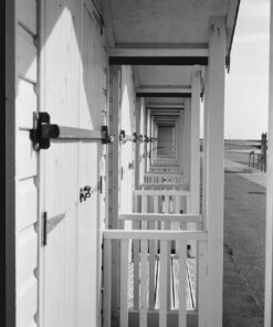 Lucky SHD100 in BelliniFoto Euro-HC