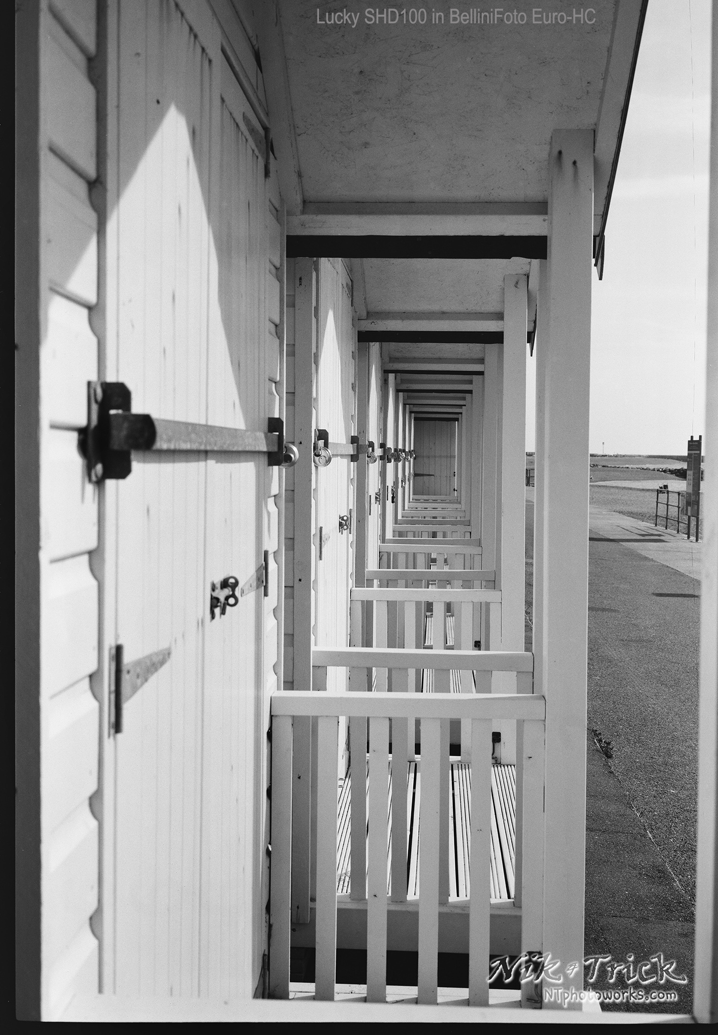 Lucky SHD100 in BelliniFoto Euro-HC