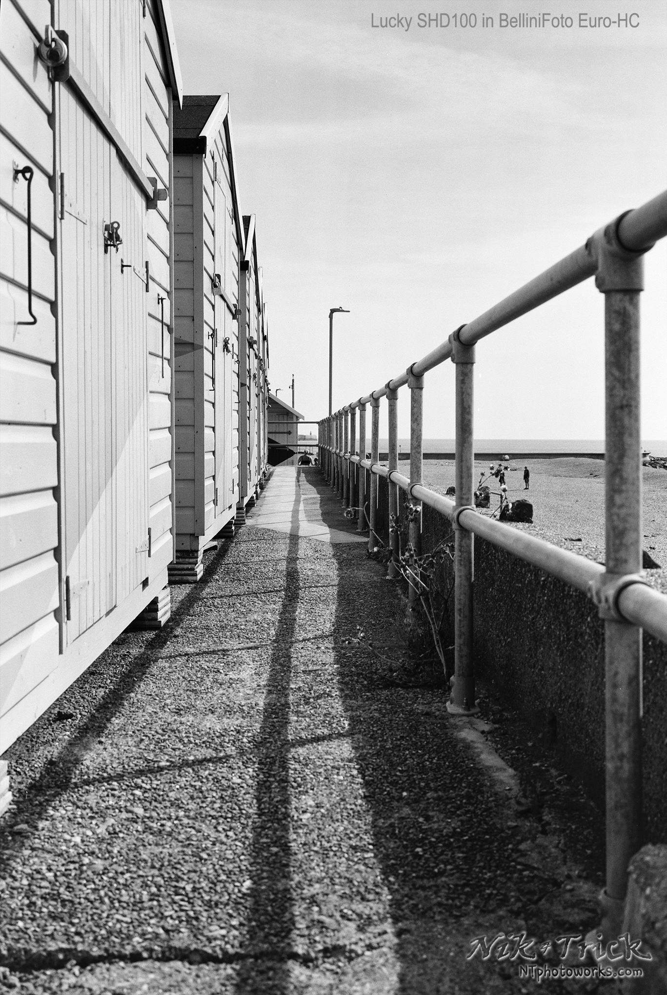 Lucky SHD100 in BelliniFoto Euro-HC