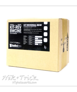 Bellinifoto BW Reversal-Cine