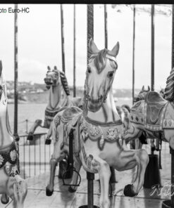 Lucky SHD100 in BelliniFoto Euro-HC