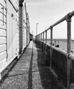 Lucky SHD100 in BelliniFoto Euro-HC