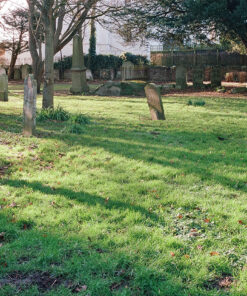 Fujifilm 400 35mm Colour Negative Film