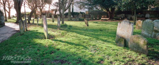 Fujifilm 400 35mm Colour Negative Film
