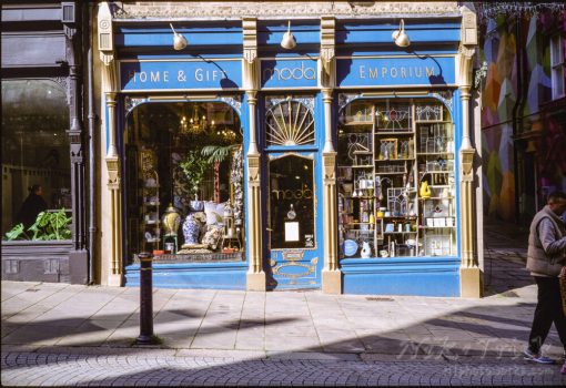 Kodak E100 Ektachrome in Adox C-Tec E6