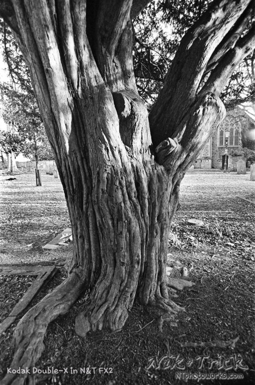 Nik & Trick's FX-2 High Resolution B&W Film Developer