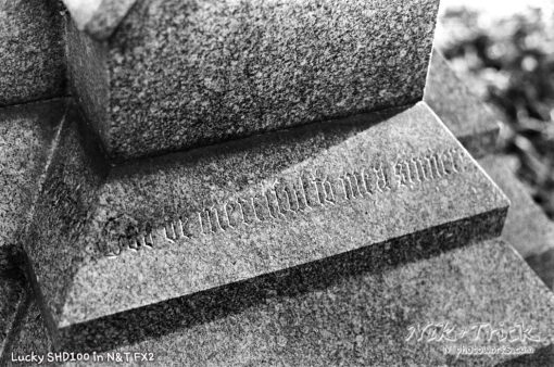 Nik & Trick's FX-2 High Resolution B&W Film Developer