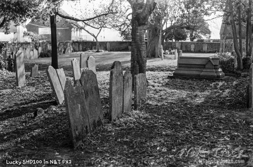 Nik & Trick's FX-2 High Resolution B&W Film Developer