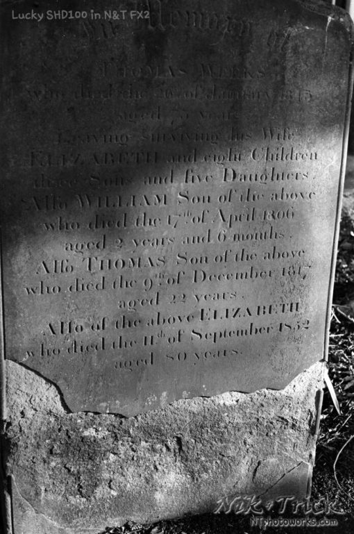 Nik & Trick's FX-2 High Resolution B&W Film Developer