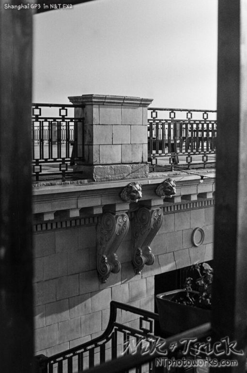 Nik & Trick's FX-2 High Resolution B&W Film Developer