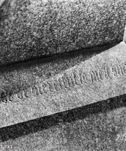 Nik & Trick's FX-2 High Resolution B&W Film Developer