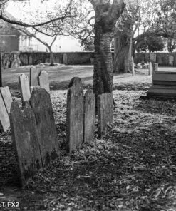 Nik & Trick's FX-2 High Resolution B&W Film Developer