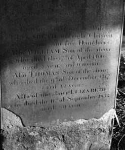 Nik & Trick's FX-2 High Resolution B&W Film Developer