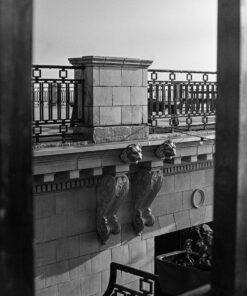 Nik & Trick's FX-2 High Resolution B&W Film Developer