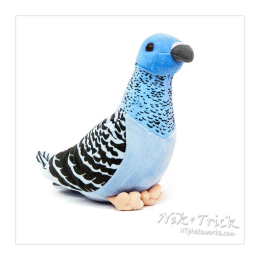 Colin the Pigeon Plush Toy