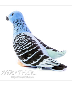 Colin the Pigeon Plush Toy