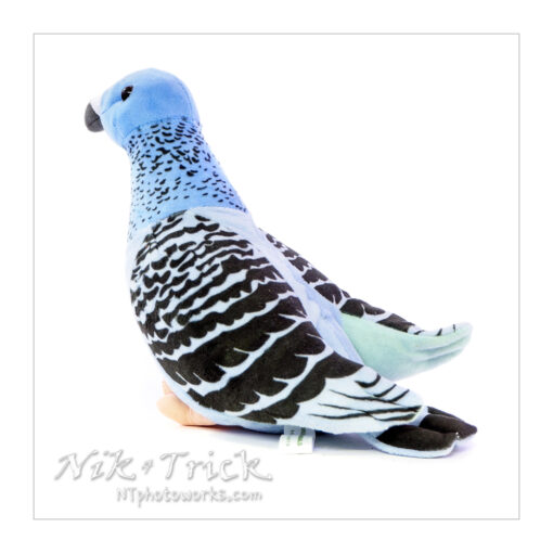 Colin the Pigeon Plush Toy