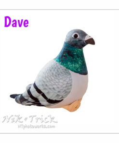 Pigeon Dave 1