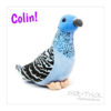 Colin the Pigeon and Friends!!