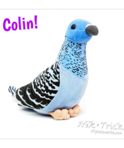 Colin the Pigeon and Friends!!